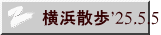 lU'25.5.5