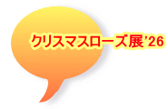 クリスマスローズ展'26